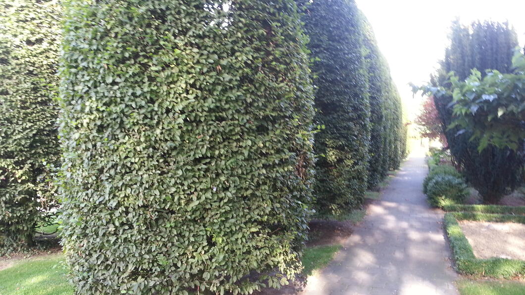 2012-09-05 17.47.48.jpg
