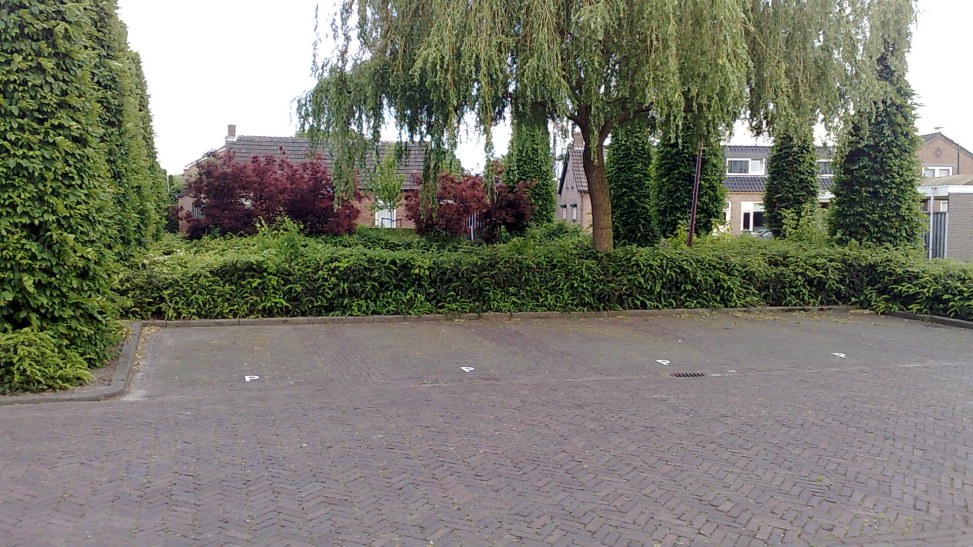 02062009171.jpg